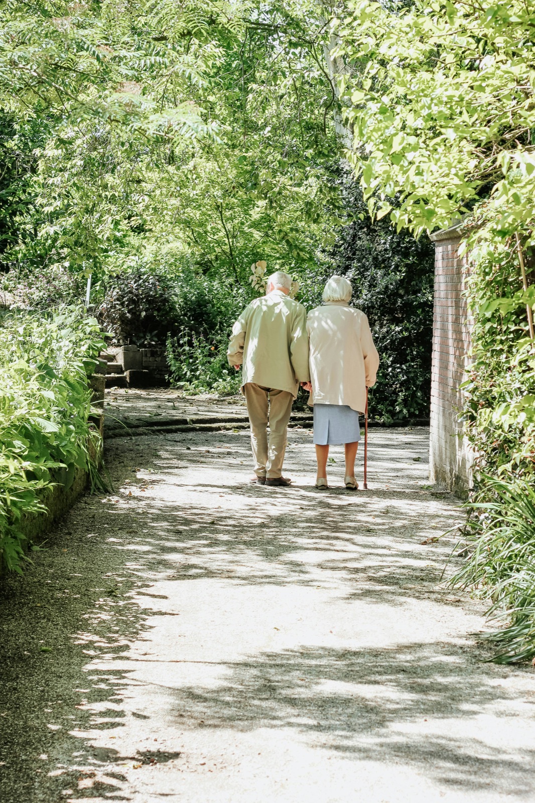 Nonmedical senior companion care